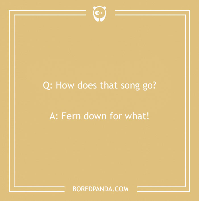 A Collection of 148 Plant Puns That Will Leaf You Chuckling