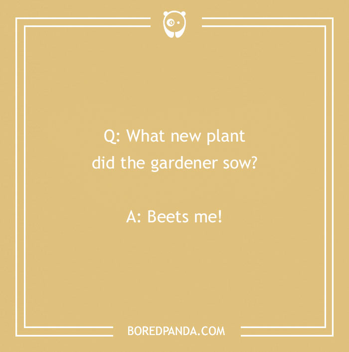 A Collection of 148 Plant Puns That Will Leaf You Chuckling
