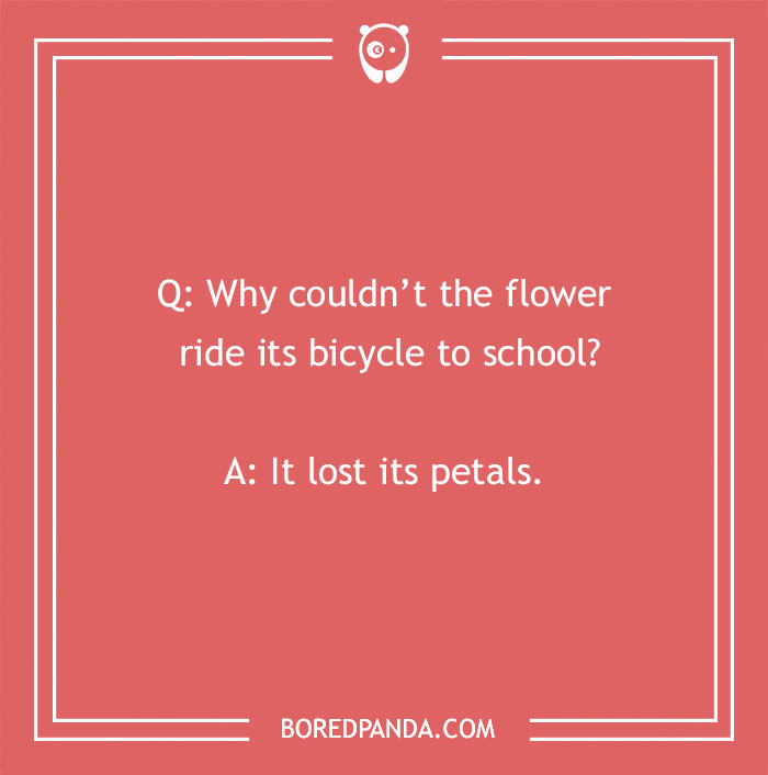 A Collection of 148 Plant Puns That Will Leaf You Chuckling