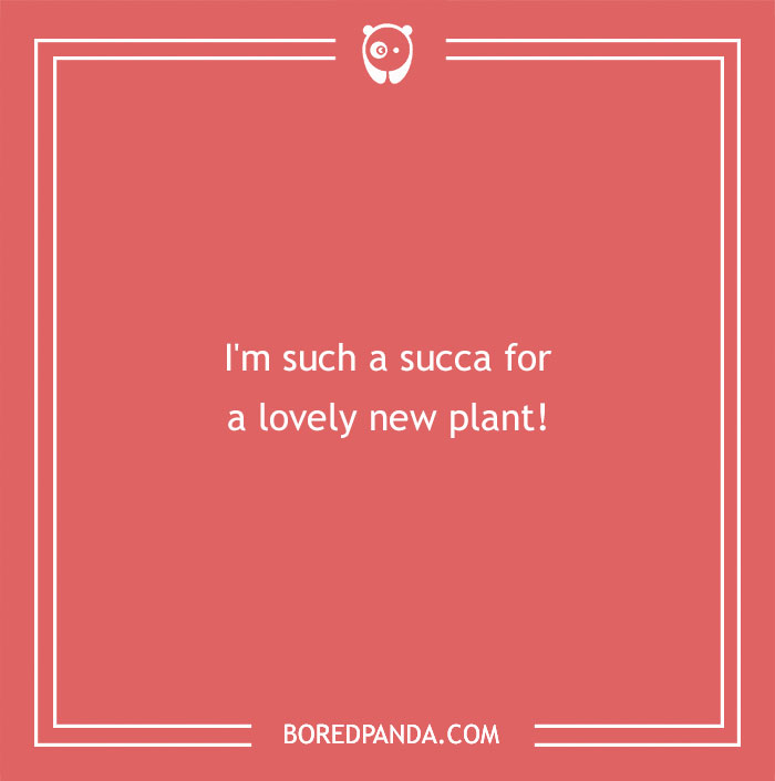 A Collection of 148 Plant Puns That Will Leaf You Chuckling