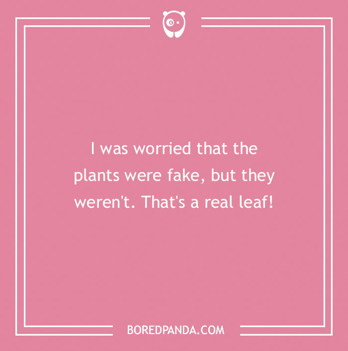 A Collection of 148 Plant Puns That Will Leaf You Chuckling