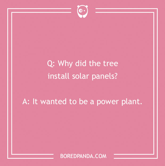 A Collection of 148 Plant Puns That Will Leaf You Chuckling