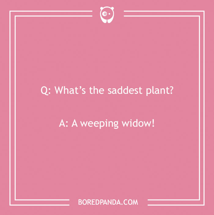 A Collection of 148 Plant Puns That Will Leaf You Chuckling