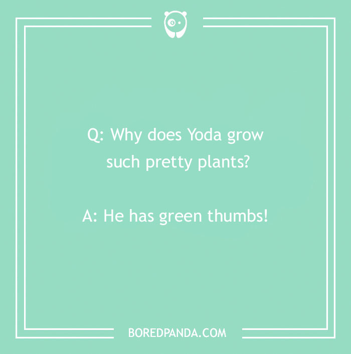 A Collection of 148 Plant Puns That Will Leaf You Chuckling