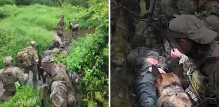 K9 Police Dog Takes 5 Minutes To Take Down A Convict Who Escaped From Prison