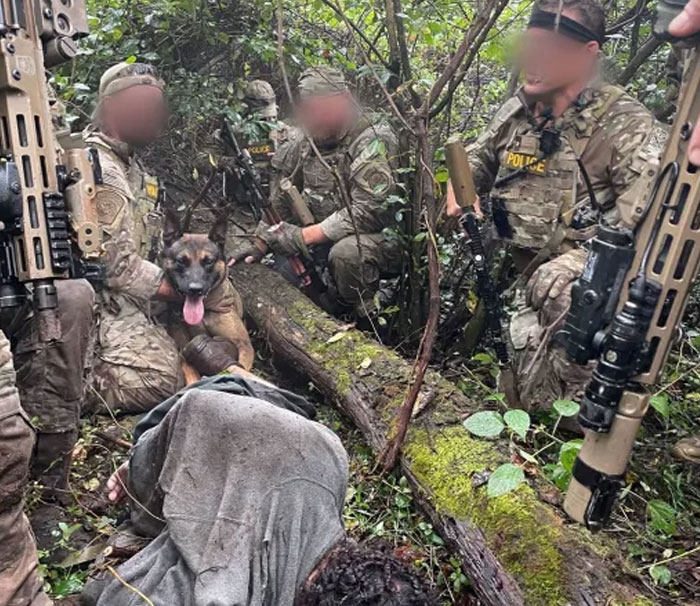 K9 Police Dog Takes 5 Minutes To Take Down A Convict Who Escaped From Prison