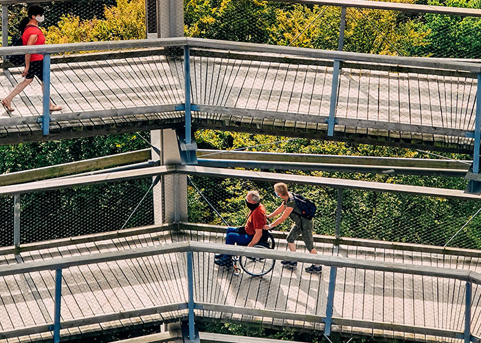 Woman Refuses To Repeat Trip With Disabled Friend, Gets Called An "Ableist"