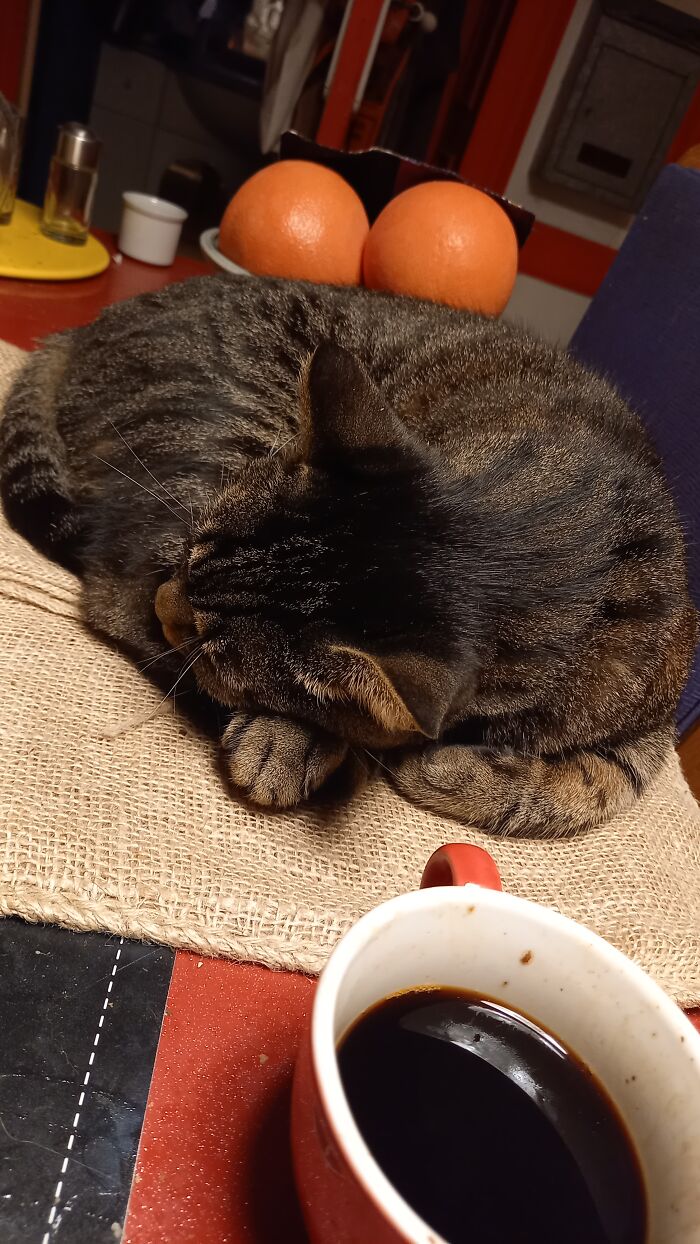 Breakfast Served On Table