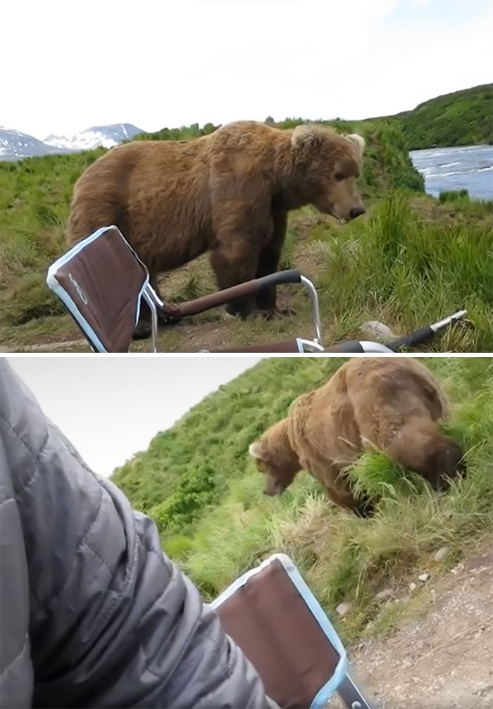 Bear With Me On This One