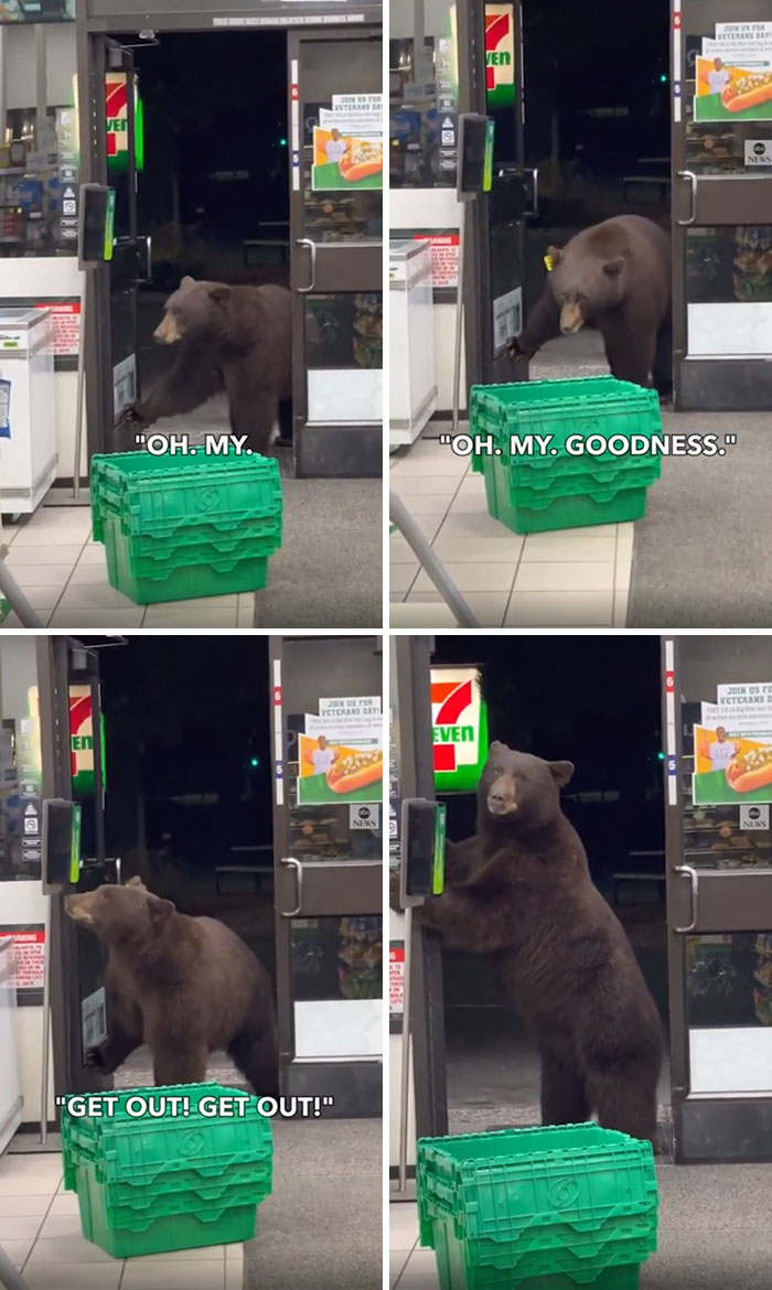 Bears Are Not Welcome Customers