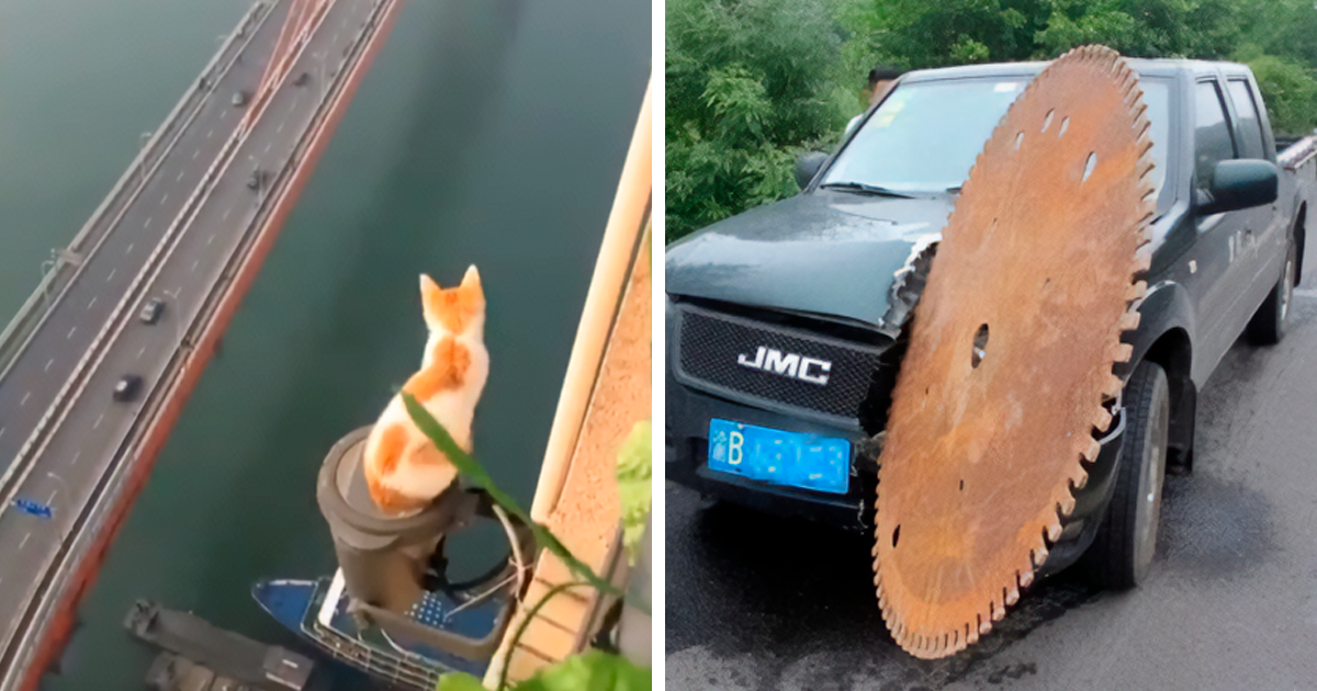 40 Imágenes extrañamente terroríficas que pondrán a prueba tus nervios