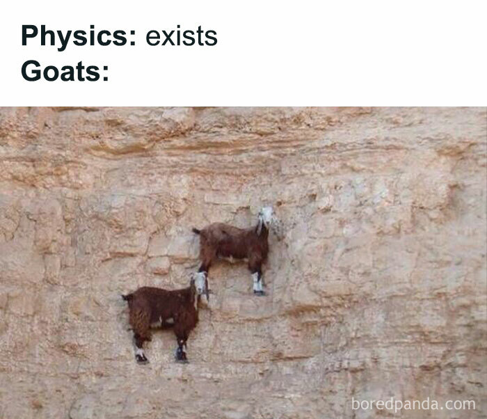 Science-Basic-Physics-Memes