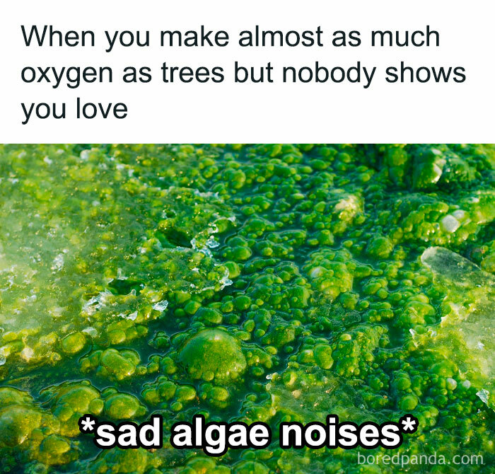 Science-Physics-Memes