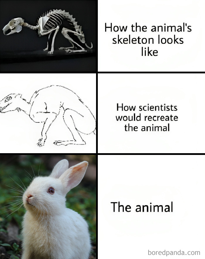 Science-Physics-Memes