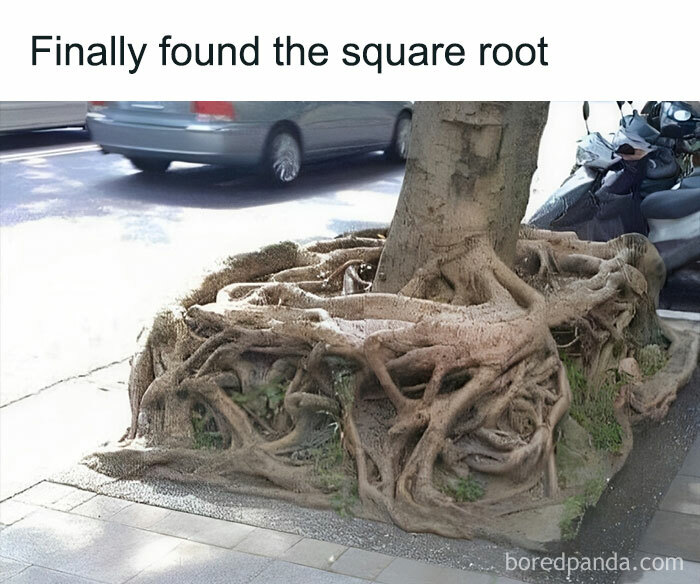 Science-Physics-Memes