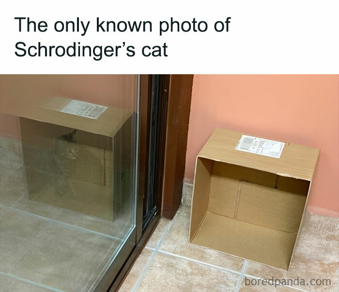 Science-Basic-Physics-Memes