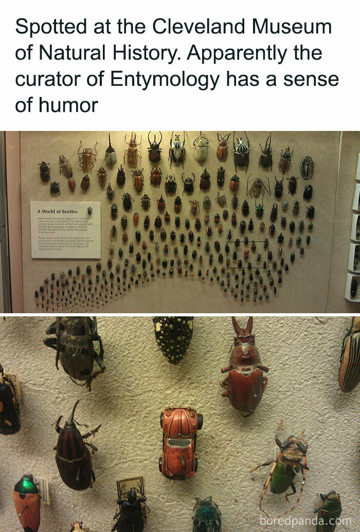 Science-Basic-Physics-Memes