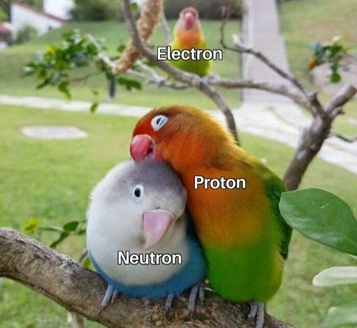 Science-Physics-Memes