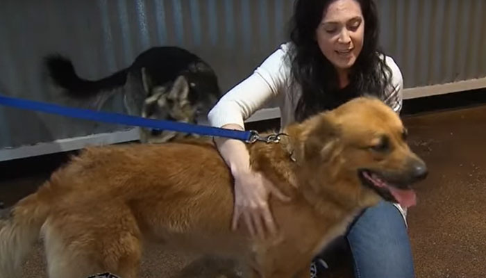 "Serial Squatter" Takes Over Four-Bedroom Home, Holds Residents' House Hostage