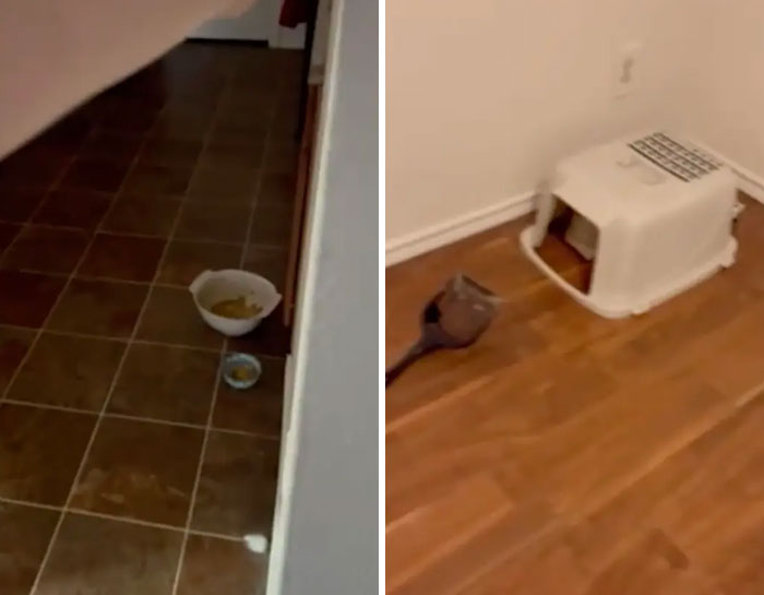 "Serial Squatter" Takes Over Four-Bedroom Home, Holds Residents' House Hostage