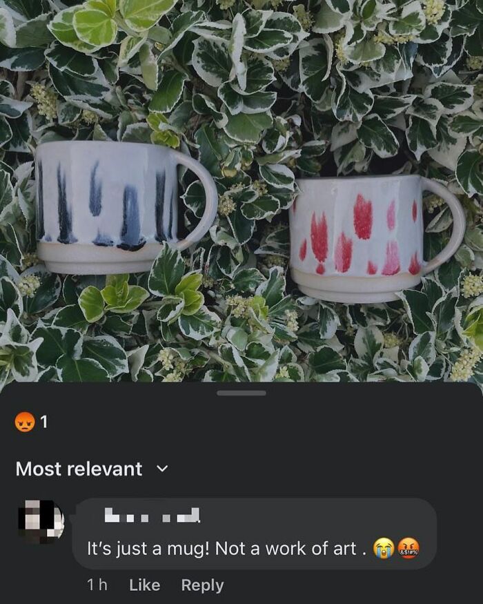 Two colorful mugs in foliage with a comment below humorously critiquing their artistic value.