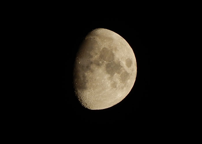 "What Is A True Fact That Sounds 100% Fake?": 50 Interesting Facts