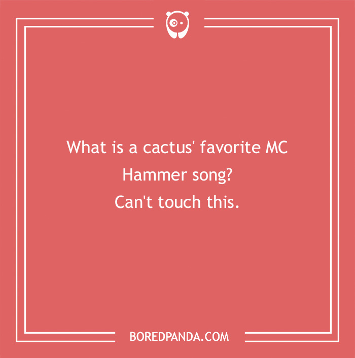 101 Flower Puns To Plant In Your Garden Of Jokes