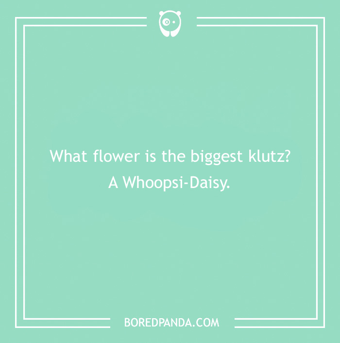 101 Flower Puns To Plant In Your Garden Of Jokes