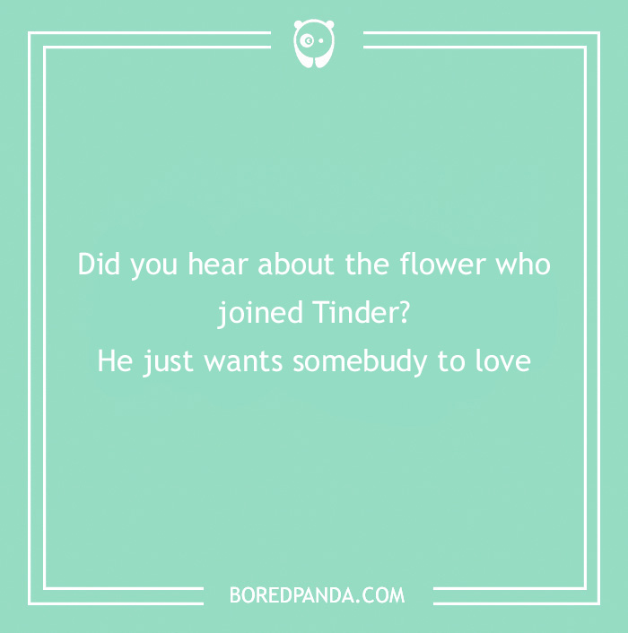 101 Flower Puns To Plant In Your Garden Of Jokes