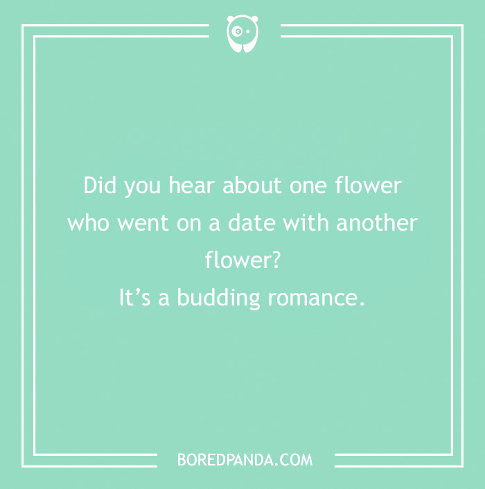 101 Flower Puns To Plant In Your Garden Of Jokes