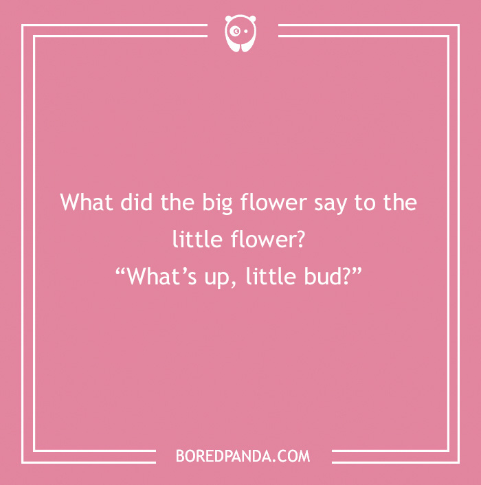 101 Flower Puns To Plant In Your Garden Of Jokes