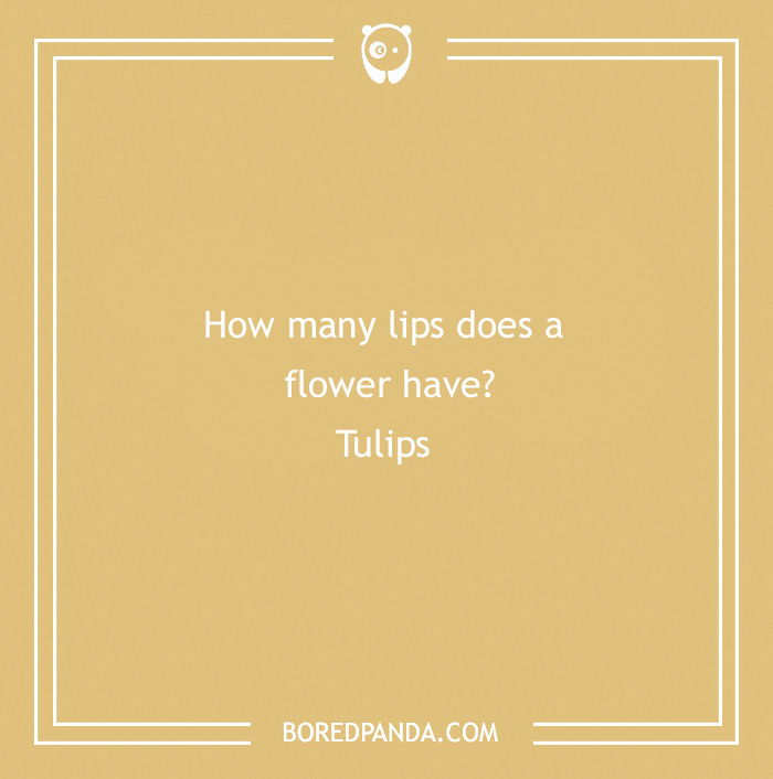 101 Flower Puns To Plant In Your Garden Of Jokes