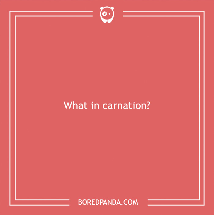 101 Flower Puns To Plant In Your Garden Of Jokes