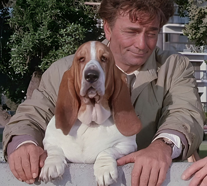 “Still Disappointed”: 30 People That Won A Celebrity Meet & Greet Spill The Tea On What It Was Like