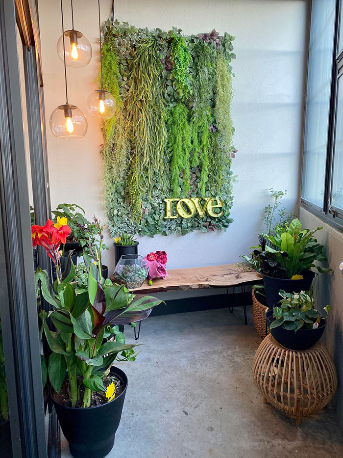 Cozy Green Sunroom Filled With Plants Cozy Green Sunroom Filled With Plants