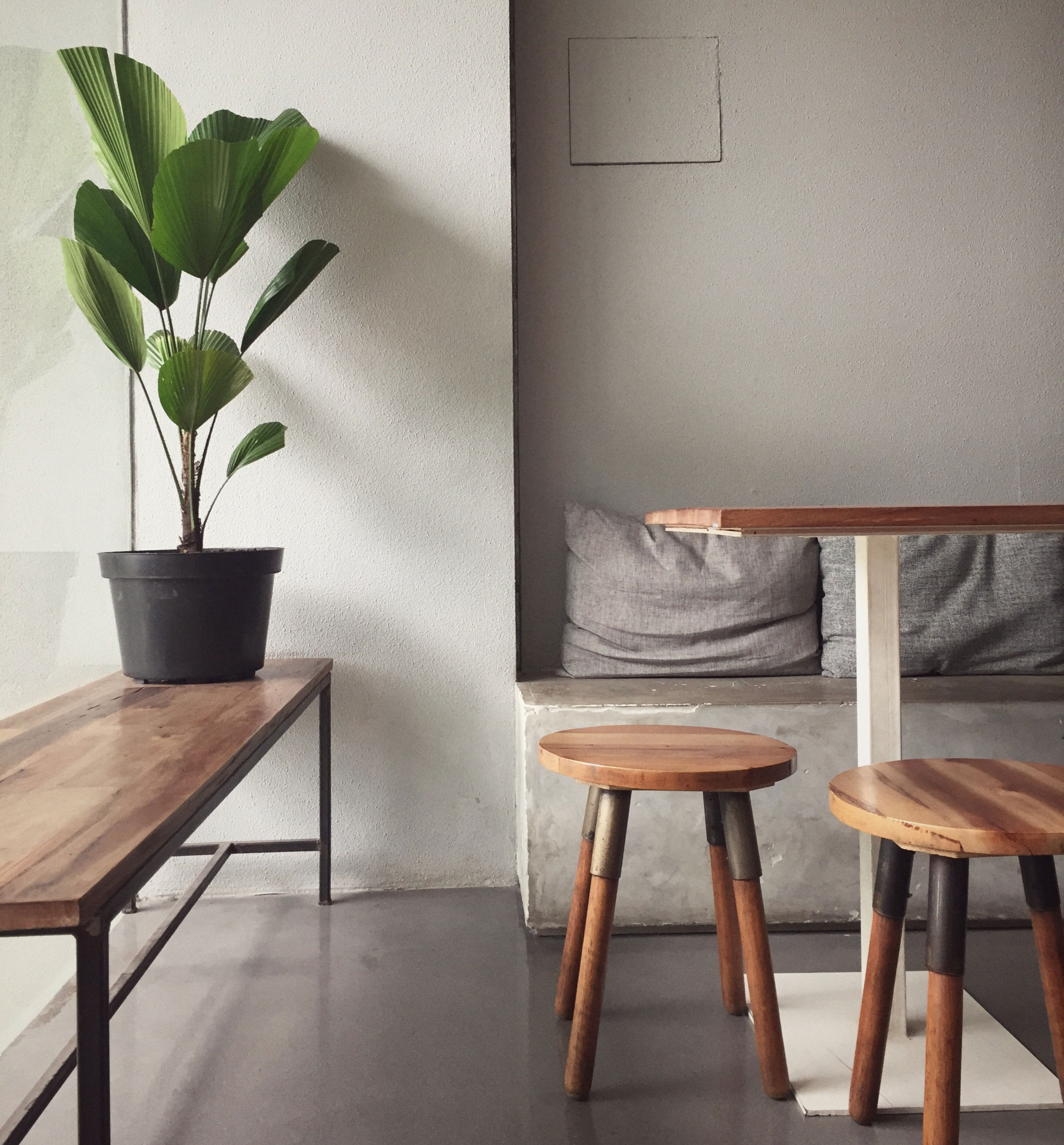 Minimalist room with taupe walls, wooden furniture, and a potted plant, showcasing taupe color ideas in interior design.