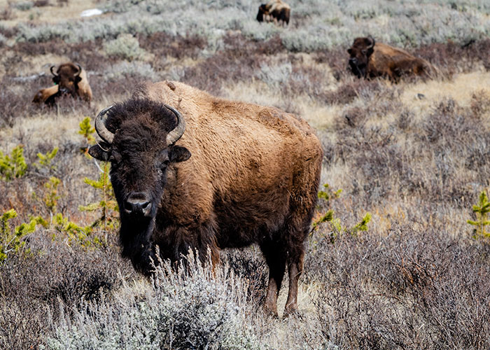 Americans Recommend Foreign Visitors Avoid These 45 Things When They're Traveling The Country