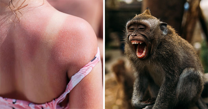 “Don’t Assume You Are The Average”: 45 People Discuss Things That Seem Safe But Actually Aren’t