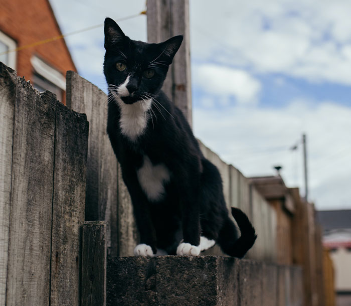 Employees Share The Boldest Things They Secretly Did At Work, Here Are The 30 Best Ones