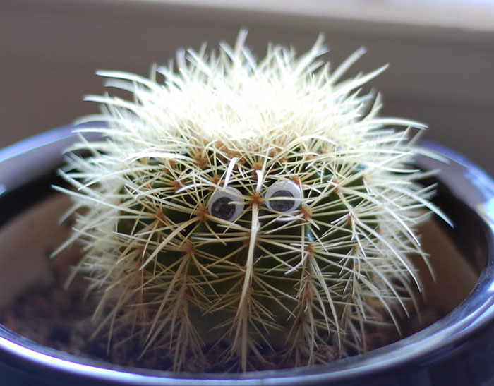 Employees Share The Boldest Things They Secretly Did At Work, Here Are The 30 Best Ones