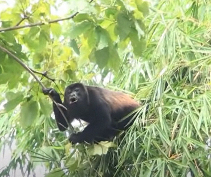 40 Fascinating Facts That People Only Learned Now And Just Had To Share With Others (New Pics)