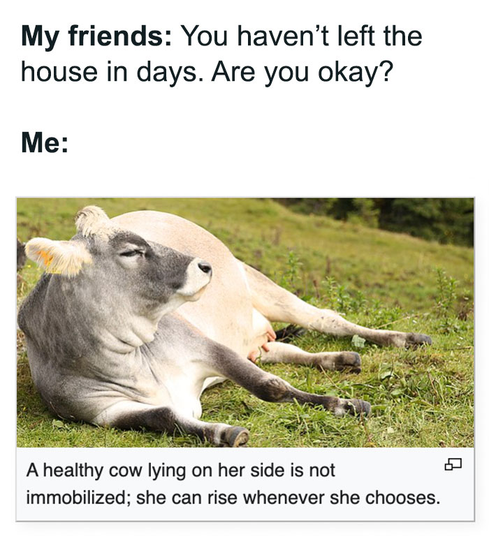 Moo