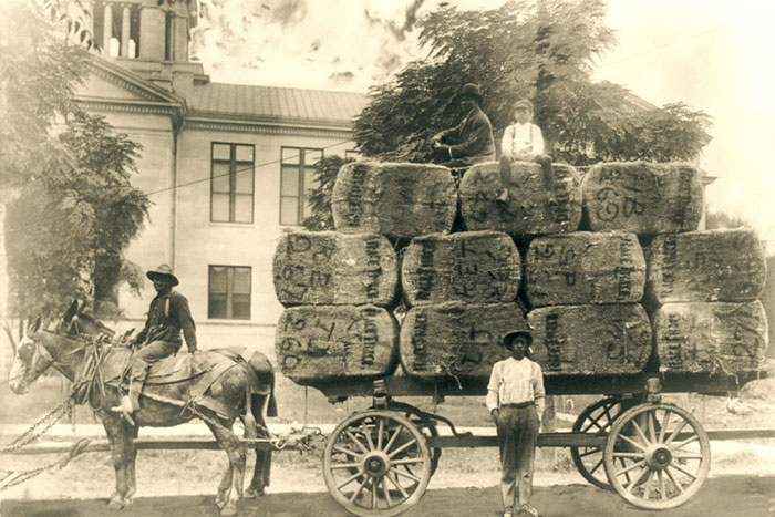 “Unit 731”: 45 Dark Historical Events And Facts That People Don’t Like To Talk About