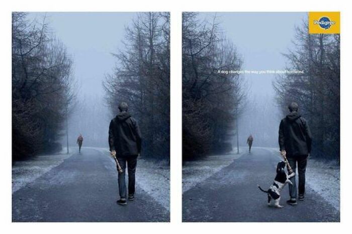 A Dog Changes The Way You Think About Someone
