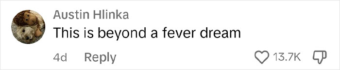 TikToker Gives A Tour Of Her Chaotic Bedroom And People Are Amazed