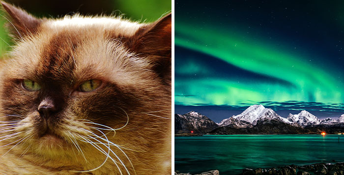 Someone Asked “What Is Far More Rare Than People Realize?”, And 30 People Delivered