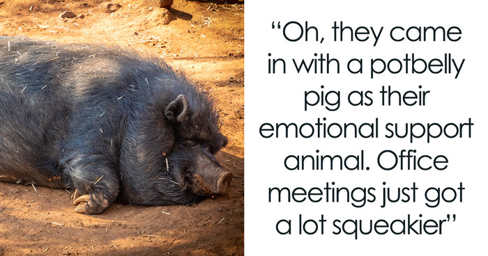 37 Random Stories Of Coworkers Displaying Unhinged Behavior, As Shared Online
