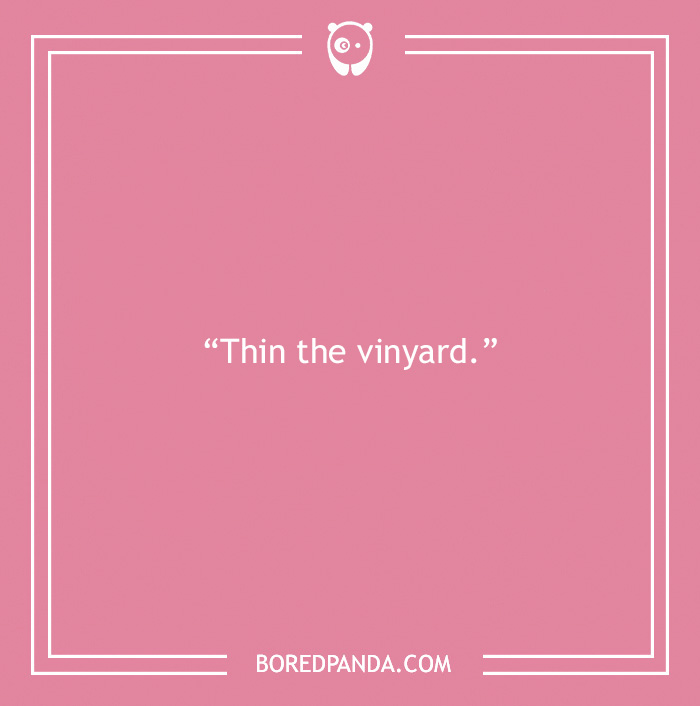 A Toast to 175 of the Best Fine Wine Puns That We Could Find