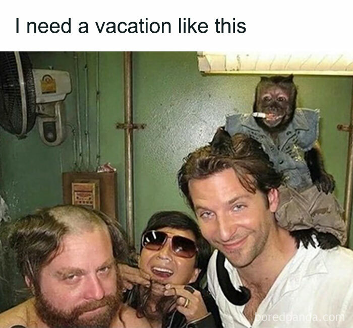 Women-Jokes-Memes-Myfemalebible