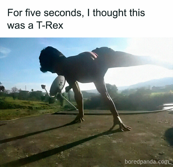 Person posing next to a satellite dish, creating a T-Rex illusion with their shadow; a funny engineering meme.